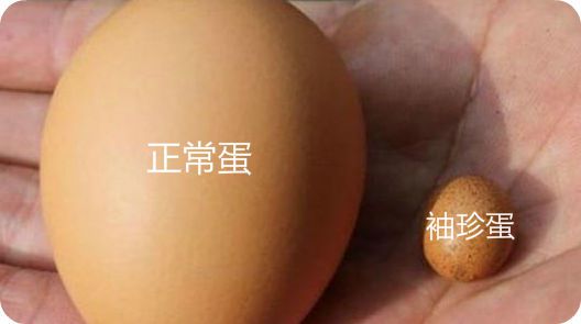 乐鱼下载农妇养了一只母鸡每天勤劳下蛋鸡蛋打开后她默默烧开了水(图2)